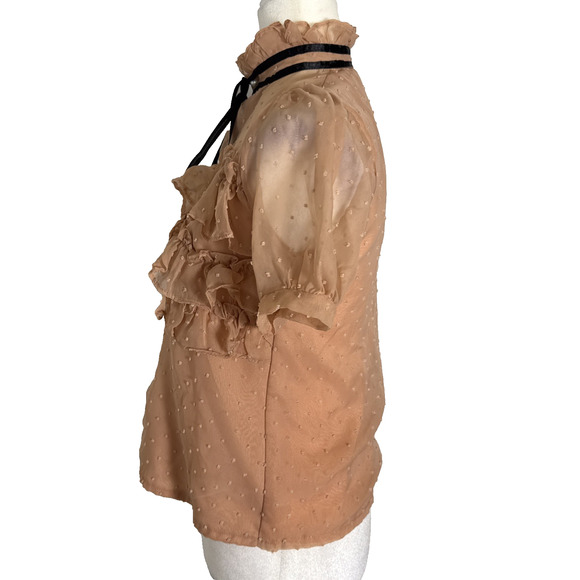 Blush Sheer Swiss Dot Ruffle Chiffon Blouse Puff Sleeve Mock Neck Victorian Sm - Picture 4 of 7